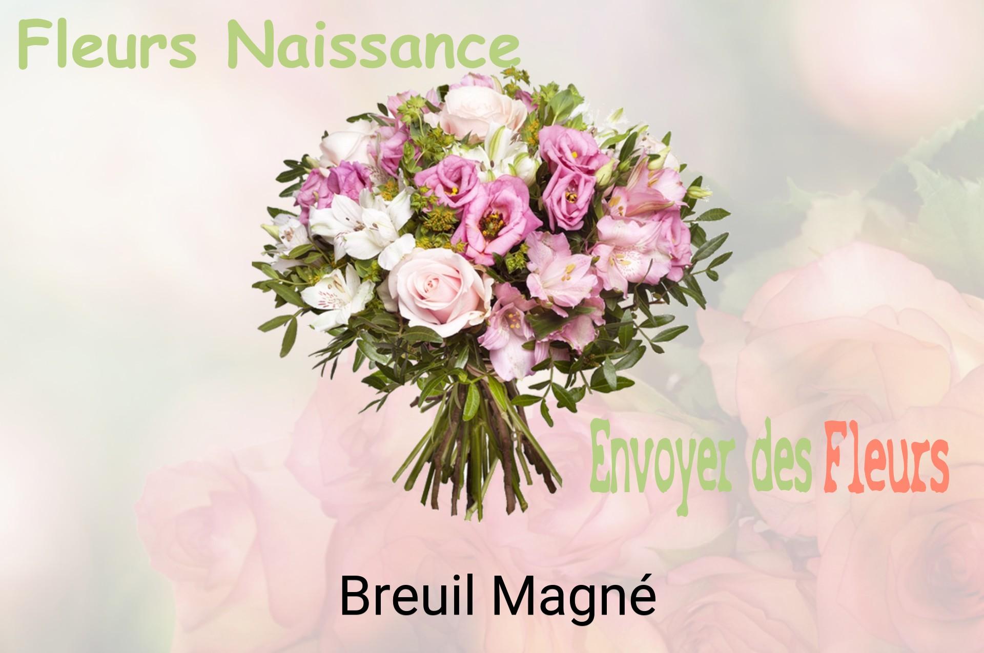 Bouquet de fleurs de naissance livré à Breuil-Magné