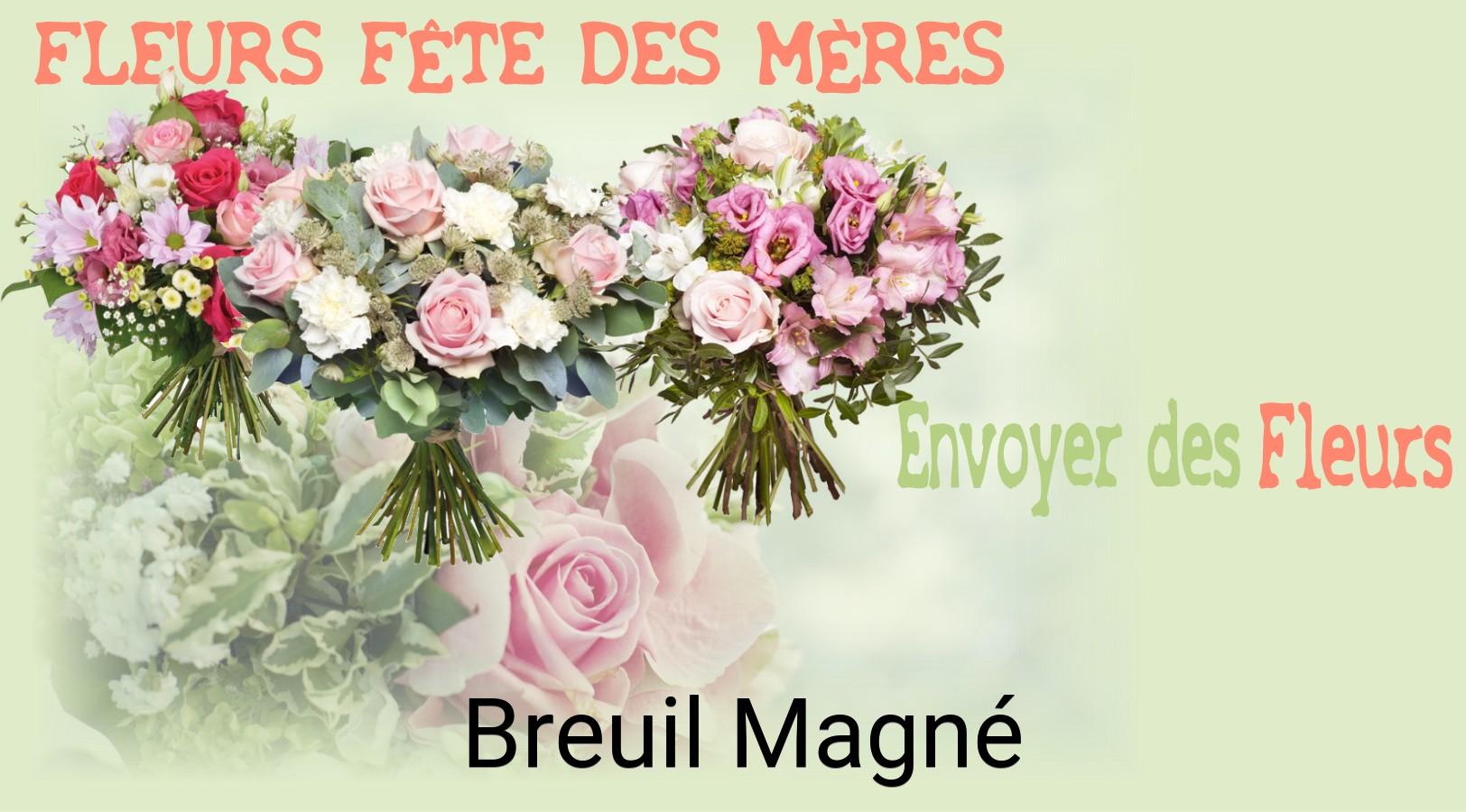 Bouquet de Fête des Mères livré à Breuil-Magné